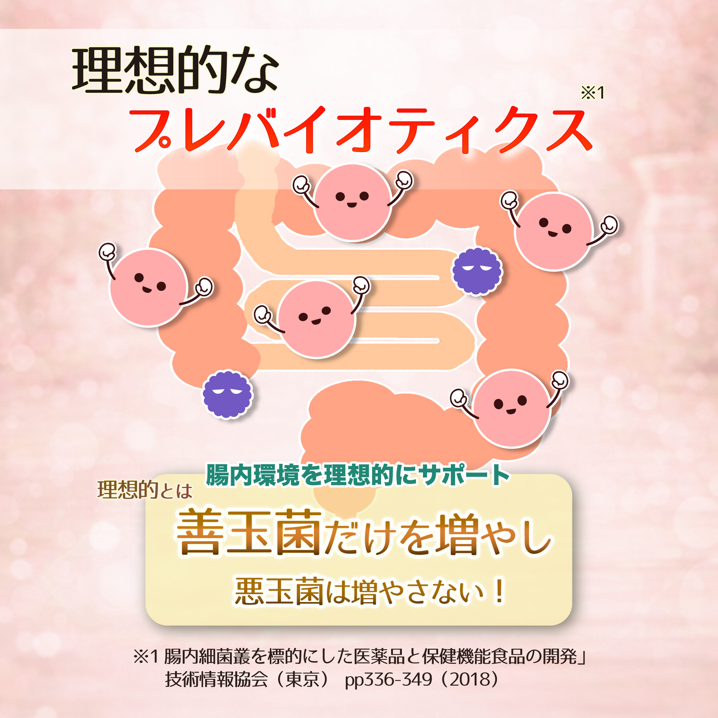 フラクトオリゴ糖2袋セット