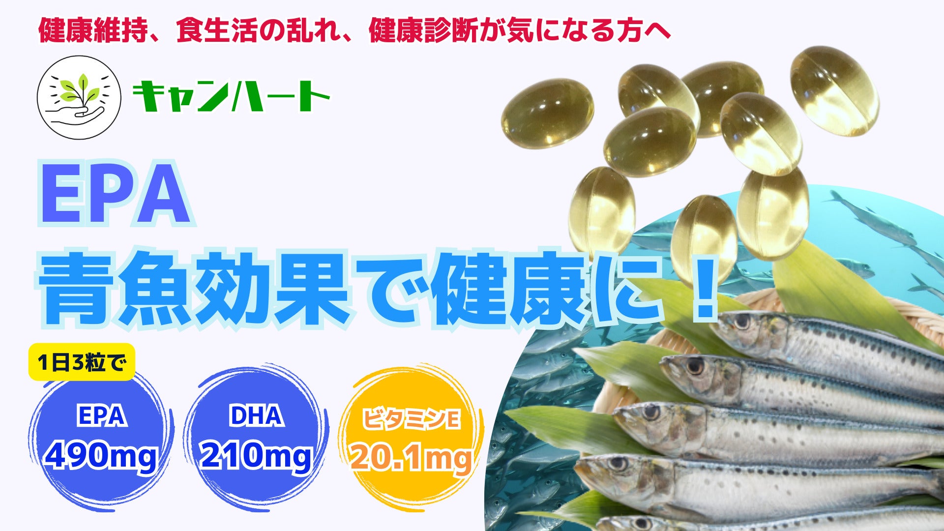 毎日続ける青魚生活 DHA&EPA+ビタミンD 哀しく